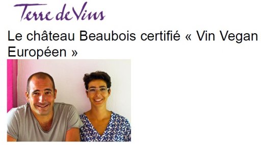 Terre de Vins Janvier 2017
